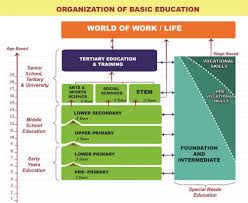 Our curriculum is flexible, challenging and inspiring, culturally sensitive yet international in approach. Breakdown Of Kenya S New 2 6 6 3 Education Curriculum Framework Subject Taught Kenyayote