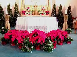 A church altar decorated with flowers on christmas day. Ic Church Altar Christmas 2019 Immaculate Conception Church