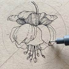Alice On Instagram Fuchsia 6 Different And Easy To Draw Flowers All Start With The Lette Flower Drawing Easy Flower Drawings Beautiful Flower Drawings