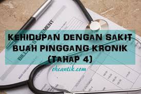 Walaupun penyakit buah pinggang agak sinonim bagi mereka yang sudah berusia, kini tanda sakit buah pinggang juga melibatkan orang yang masih malangnya ramai yang tidak menyedari akan penyakit buah pinggang ini kerana ia tidak menunjukkan sebarang simptom kepada pengidapnya. Sakit Buah Pinggang Tahap 4 Jalani Hidup Lebih Baik Ohcantik Com