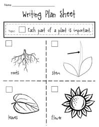First Grade Shenanigans Plant Stuff Kindergarten Science First Grade Science Plant Science