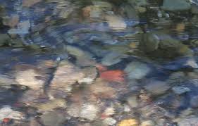 Https Encrypted Tbn0 Gstatic Com Images Q Tbn And9gcqb0rtuvwl8hfi6wxv2vwwpzrff9hgjgr0q2w Usqp Cau