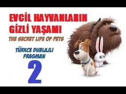 Evcil Hayvanlarin Gizli Yasami Turkce Dublajli Fragman 2 5 Agustos 2016 Sinemalarda Youtube