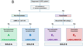 Image result for COPD Exacerbation Decision Tool