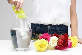 We did not find results for: How To Make Flowers Last Longer 9 Tricks Proflowers