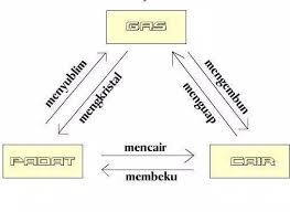 Daging harus segera dimasukkan ke dalam kulkas begitu rigor mortis sudah terjadi, yaitu dalam 4 jam setelah penyembelihan 1. Pengertian Perubahan Wujud Zat Beserta Contohnya Lengkap Kampung Ilmu Artikel Motivasi Motivasi Belajar Materi Pelajaran