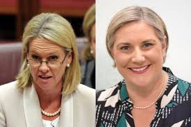 Dual citizenship: Jim Molan to replace Fiona Nash in Senate, High Court  rules