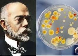 Did you know that Richard Julius Petri was born 31 May 1852. Petri was a  microbiologist who is credited with inventing the petri dish, a shallow  glass cylinder used to culture cells