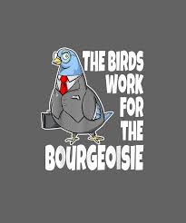 Funny Quotes About Birds On The Beach The Birds Work For The Bourgeoisie Funny Quote Viral Meme Tshirt Dogtrainingobedienceschool Com