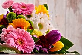 Indoor herbs are always great to grow in a sunny windowsill. Popular Native Flowers Of Canada That Are Trending Right Now Flower Delivery Hamilton Ontario