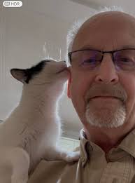 Cat Owners Sharing Photos and Stories