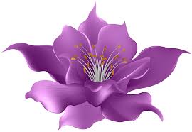 purple flower transparent clip art image gallery yopriceville high quality images and transparent png free clipart gallery yopriceville