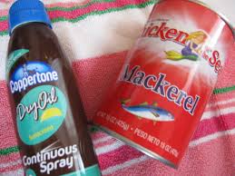 Image result for Coppertone 1977 Caloric