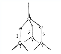 How To Build A Model Of The Molecular Structure Of Diamond Ehow Molecular Structure Atomic Structure Molecular
