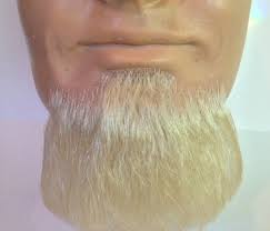 She ended up in the hospital. Three Point Goatee Human Hair Glue On Fake Beards Mustaches Beard And Wig Sets Sideburns Eyebrows