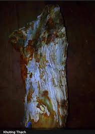 Profile for Gỗ Hoá Thạch Tây Nguyên Gia Lai