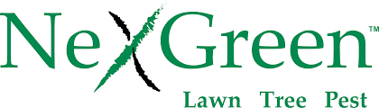 Jul 19, 2021 · located in the southeastern part of mexico, tulumis the site of thefamous mayan walled city and is close to the tourist locations of riviera maya and cancun. Nexgreen Eco Friendly Lawn Fertilization Services