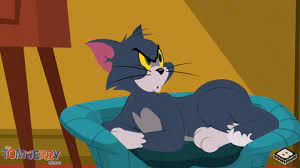 via giphy tom and jerry tom and jerry show tom and jerry cartoon