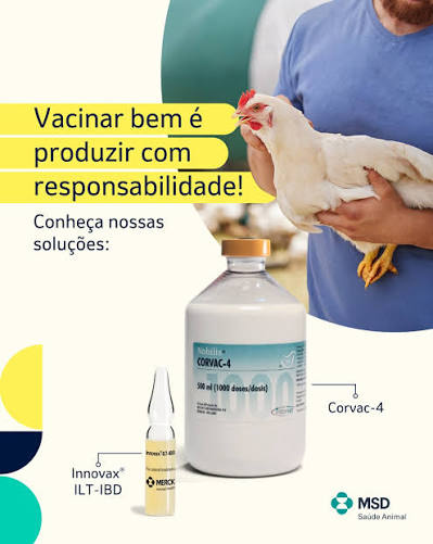Vacinação é um dos pilares da saúde aviária! E na MSD Saúde Animal, ela é tratada com inovação e responsabilidade. 💉Corvac‑4: vacina inativada com proteção tetravalente para Coriza Infecciosa 🛡️Innovax® ILT-IBD: vacina