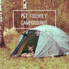 Pet friendly campgrounds with cabins. Dog Friendly Campsites In Nz Posts Facebook