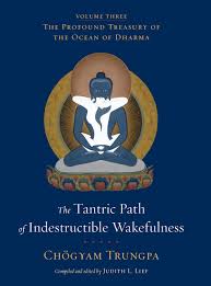 Tantra is the transformatin of vital energy in all its permutations ultimately toward the goal of spiritual attundement and enlightenment. The Tantric Path Of Indestructible Wakefulness The Profound Treasury Of The Ocean Of Dharma Volume Three Trungpa Chogyam Lief Judith L 9781590308042 Amazon Com Books