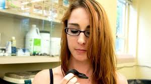 Katelyn Henderson, undergraduate in zoology, studies a snake.