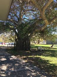 See tripadvisor's 60,019 traveler reviews and photos of vero beach tourist attractions. 15 Things To Do In Vero Beach Florida July 2021 Travel Crog