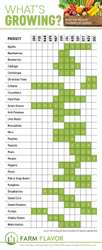 Whats Growing Georgia Produce Calendar Infographic