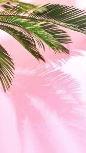 11 Pretty Wallpapers For Your Shiny New Iphone 11 Preppy Wallpapers Preppy Wallpaper Pretty Wallpapers Palm Wallpaper
