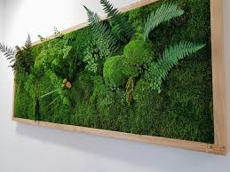 Tableaux Vegetaux Stabilises Avec Un Cadre En Chene Sur Mesure Tableau Vegetal Tableau Vegetal Stabilise Cadre Vegetal