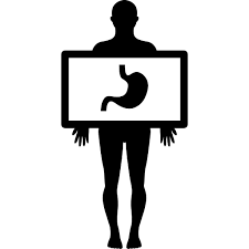 Human Body With X Ray Plate Focusing On Stomach Free Vector Icons Designed By Freepik Vector Free Vector Icon Design Vector Icons