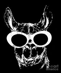 Maybe you would like to learn more about one of these? Llama Clout Goggles Llama Edm Hip Hop Rappers Drawing By Noirty Designs