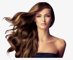 Beautiful model girl with shiny brown straight long hair. Long Hair Png Images Free Transparent Long Hair Download Kindpng
