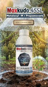 Maxkudo 45SL