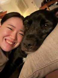 Hey guys! My name is Hugo and I'm a 26yo male. I'm from Sydney however I've  been living in sunshine for 6 months. I'm in need of accommodation around  Noosa Heads and