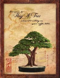 Get answers from sunshine miniature trees staff and past visitors. Sunshine Miniature Trees Marc Mintle