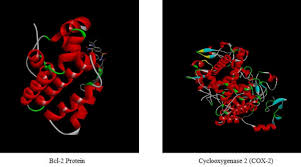 Image result for Multidentia sp. A
