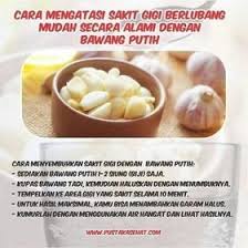 Sakit gigi bisa memicu pusing dan sakit kepala dan sangat mengganggu aktifitas anda. 8 Video Lucu Di 2021 Video Lucu Lucu Gifs Lucu