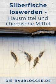 silberfische loswerden hausmittel und chemische mittel in 2021 silberfische fische silberfische bekampfen