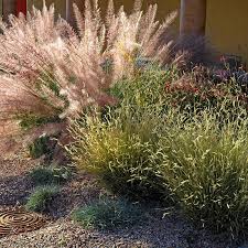 They can soften, yet enhance masonry elements with their airy form and uniquely capture and filter the sun's rays. Masses Of Grass Planting Large Groupings Of Ornamental Grasses