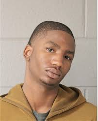 ᐅ Illinois Criminal Records 2009-2025