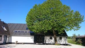 Galleri Salshus Tickets [2025] - Promos ...