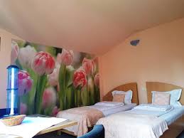 Servicii oferite de un hotel 5 stele brasov. Pensiunea Paloma 3 Stele Brasov Hotel Brasov From 23 Lastminute Com