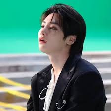 Stanesimonaxi (stanesimonaxi)