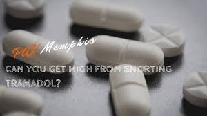 Or, you could wrap it in a 1.5 square piece of cheese and eat that. Dangers Of Snorting Tramadol Pax Memphis Recovery Center