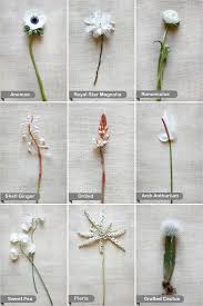 Basically they are very similar but identified by the shape of the leaves and the colors of the flowers. White Flower Guide Wedding Flower Guide White Flowers Flower Guide