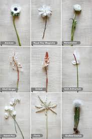Check spelling or type a new query. White Flower Guide Flower Bouquet Wedding Wedding Flower Guide White Flowers