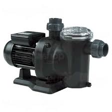 Now, the pool owner should turn off the pump and leave it off. Pool Pumps