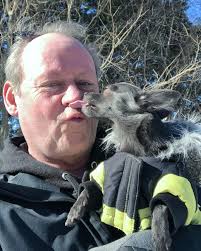 Cece is my trail buddy and companion for biking and hiking excursions  🙏🐶🚴‍♀️❤️❤️❤️