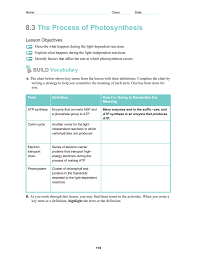 8 3 The Process Of Photosynthesis Lesson Objectives